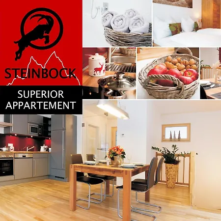 Appartement Steinbock Superior